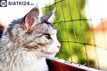 Siatki Tychy - Siatka na balkony dla kota i zabezpieczenie dzieci dla terenów Tych